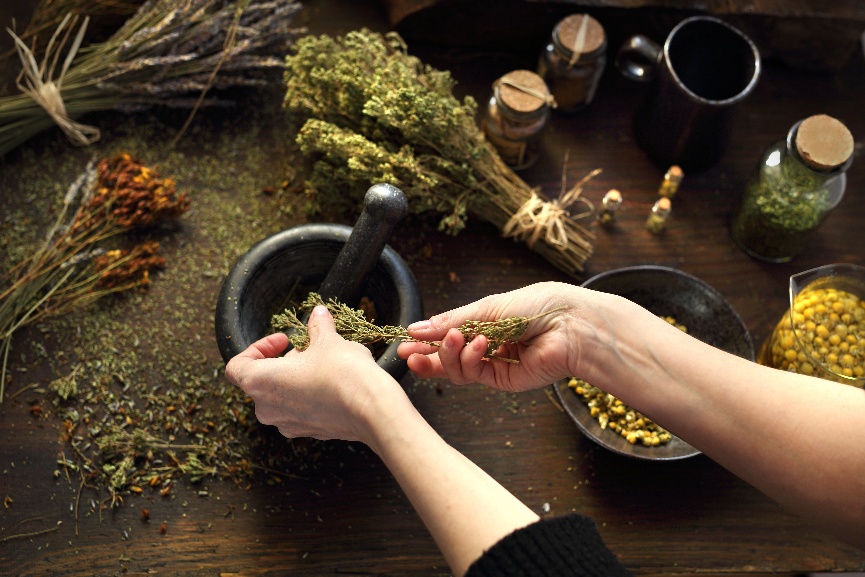 Hands preparing herbs with a mortar and pestle on a wooden table, surrounded by various dried plants and herbal ingredients.